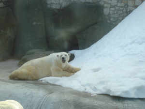 Zoopark 040